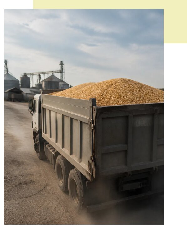 Перевозка сельхозпродукции навалом в Торжок по цене от 3067 р. | Агросервис-Трж